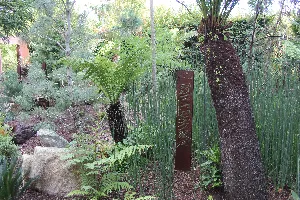 Chaumont Cannes 1